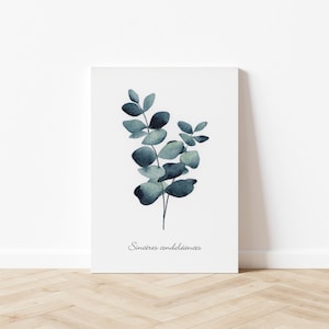 Carte de condoléances - Bouquet d'eucalyptus