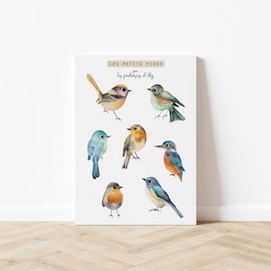 Planche de stickers oiseaux