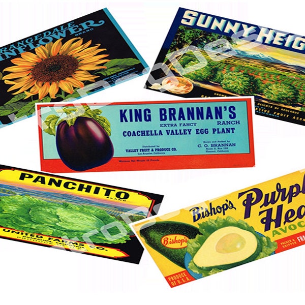 Retro Fruit Crate Labels, Vintage Food Labels, Instant Downloads