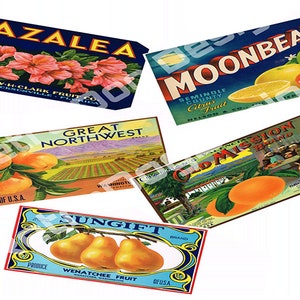 Vintage Fruit Crate Labels, Kitchen decor, Instant jpg download, printable old retro food wooden crate labels