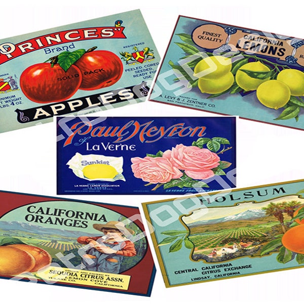 Wooden Fruit Crate Labels, Retro Food Labels, Vintage Kitchen Decor, Instant Download Labels