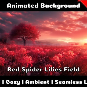 Puede incluir: Fondo animado con un campo de lirios araña rojos con un árbol en primer plano y una puesta de sol en el fondo. El texto "Red Spider Lilies Field" está en la parte inferior de la imagen. El texto "Lofi | Cozy | Ambient | Seamless Loop" está en la parte inferior de la imagen.