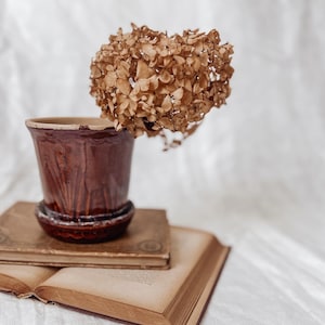 May include: A brown ceramic flower pot with a matching saucer, holding a dried hydrangea bloom. The pot sits atop two antique books with aged pages, creating a vintage aesthetic. The background is a soft, white fabric.
