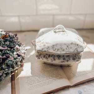 Antique Ridgeway Pottery Soap Dish: Brown Floral Transferware, Ironstone