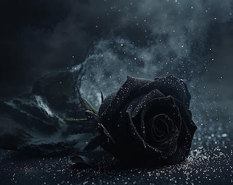 May include: A solitary black rose, with a velvety texture, rests on a dark surface. The image features a moody, dark backdrop with scattered sparkling particles. The overall effect is dramatic and elegant, evoking a sense of mystery.