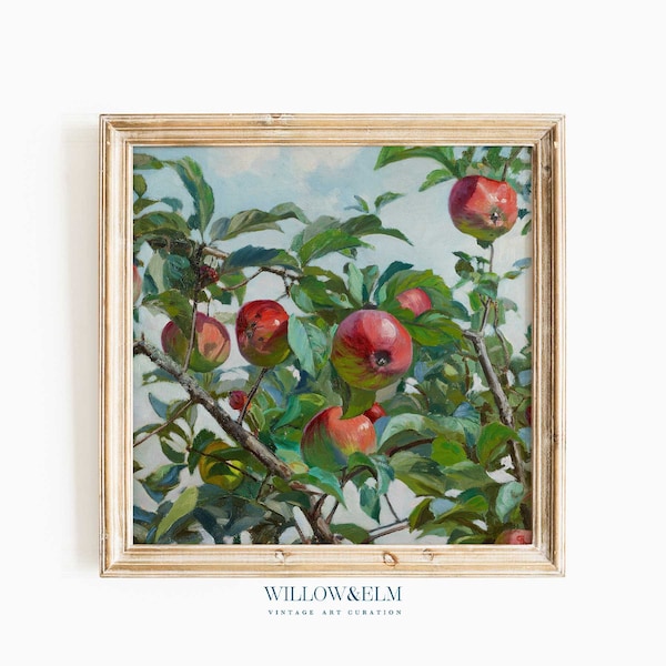 Apple Kitchen Decor - Etsy