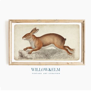 Puede incluir: Una ilustración vintage de una liebre marrón corriendo por un campo de hierba. La imagen está enmarcada en un marco de madera claro y tiene el texto "WILLOW&ELM VINTAGE ART CURATION" en la parte inferior.