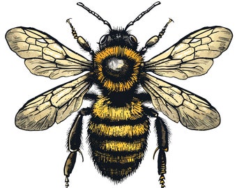 Honey Bee 02 Cross Stitch Pattern. Digital PDF Download. 90,000 stitches