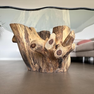 Table basse en teck Live Edge faite main, plateau en verre, pieds en fer