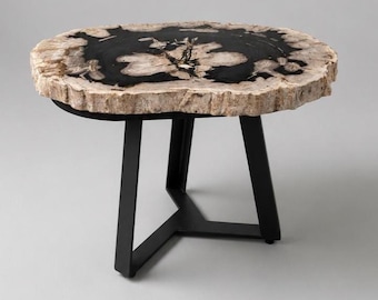 Petrified Wood Coffee Table, Fossilized Wood Slab Side Table with Metal Base, Live Edge Natural Accent Table, One of a Kind
