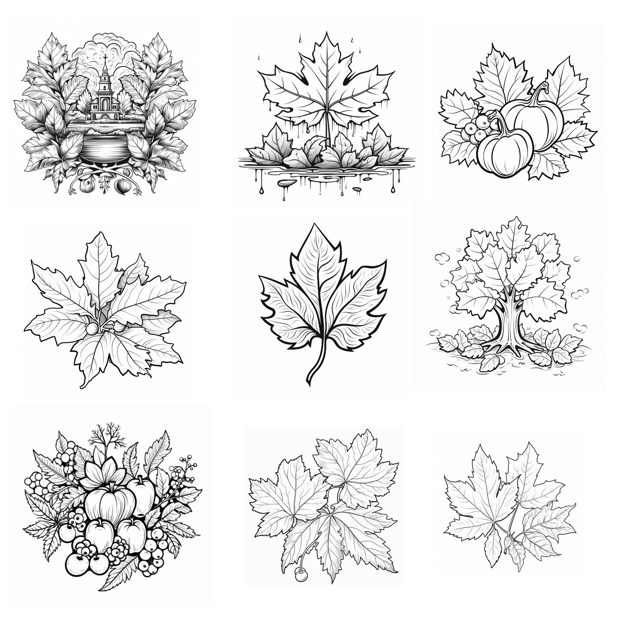 55 Fall Foliage Procreate Stamps, Fall Autumn Stamps Collection for ...