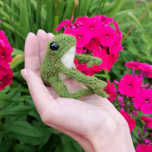 Frosch Fiete handgestrickt