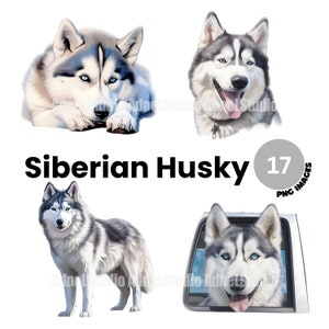 Siberian Husky Clipart - Watercolor Siberian Husky PNG, Cute Dog Clipart, Cute Puppy Clipart, Dog Portrait, Dog Junk Journal, Cute Dog PNG