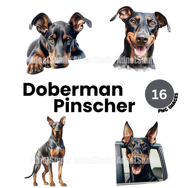 Doberman pinscher Clipart - Watercolor doberman pinscher png, Cute dog clipart, Puppy clipart, Dog portrait digital, Nursery wall art