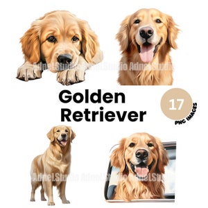Golden Retriever Clipart - Aquarell Golden Retriever PNG, niedlicher Hund Clipart, Welpe Clipart, Hundeportrait Clipart, Kinderzimmer Wandkunst