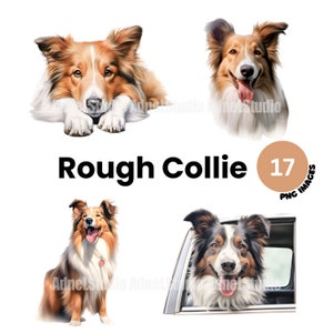 Könnte beinhalten: Vier digitale Illustrationen von Rough Collie Hunden. Das erste Bild zeigt einen braunen und weißen Rough Collie, der mit gekreuzten Pfoten liegt. Das zweite Bild zeigt einen braunen und weißen Rough Collie mit herausgestreckter Zunge. Das dritte Bild zeigt einen braunen und weißen Rough Collie, der sitzt. Das vierte Bild zeigt einen schwarzen und weißen Rough Collie, der aus einem Autofenster schaut.