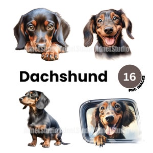 Dachshund Clipart - Watercolor Dachshund PNG, Cute Dog Clipart,  Puppy Clipart, Dog Portrait Digital, Junk Journal, Nursery wall Art