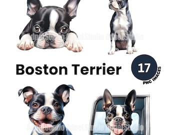 Boston terrier Clipart - Watercolor boston terrier png, Cute dog clipart, Puppies clipart, Dog portrait, Junk journal, Nursery wall art