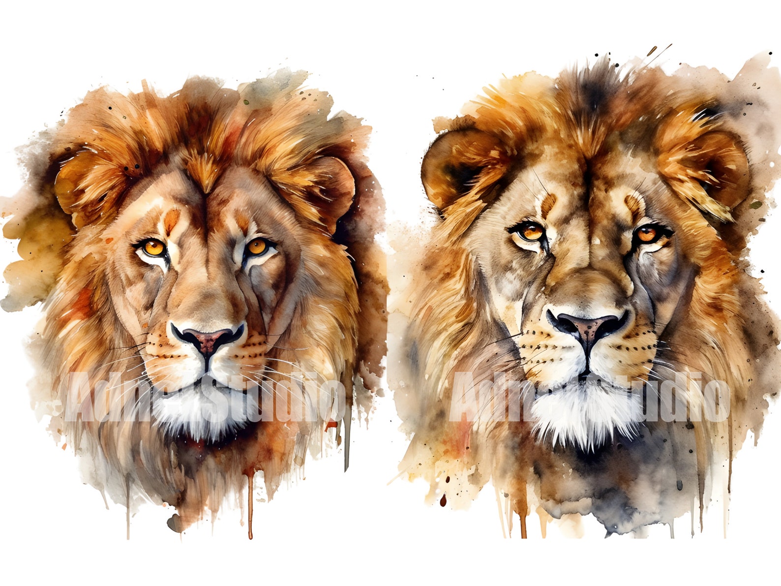 Watercolor Lion Clipart Png, Watercolor Lion King Clip Art, Watercolor ...