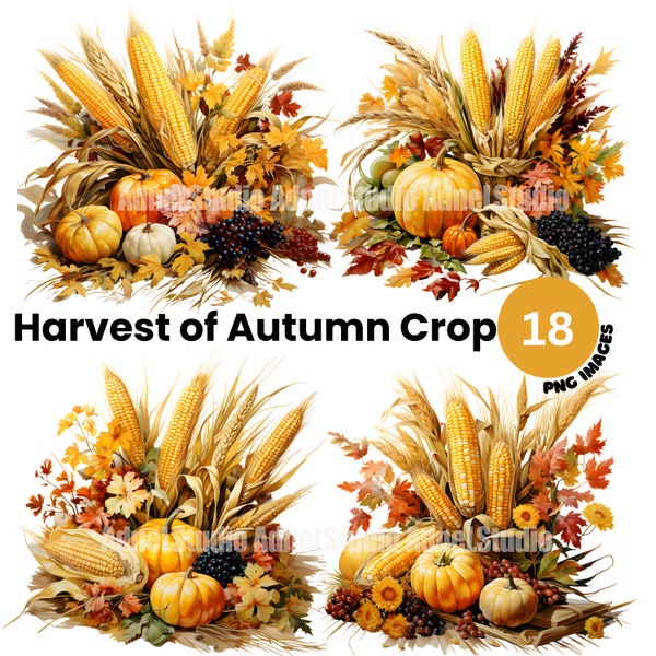 Harvest of Autumn Crop Clipart - Autumn Harvest Clipart, CottageCore Clipart, Thanksgiving Clipart, Pumpkin Junk journal, Scrapbooking