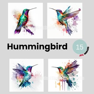 Watercolor Hummingbird Clipart -15 JPG Files, Digital Collage Watercolor Hummingbird Illustrations Download, Hummingbird Digital Paper Craft
