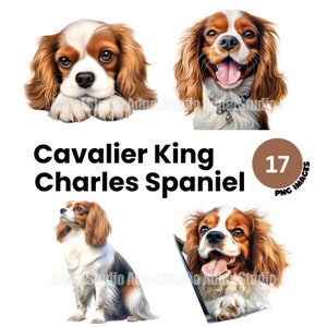 Cavalier king charles spaniel Clipart - Acuarela cavalier king charles spaniel png, Cute dog clipart, Puppy clipart, Dog portrait digital