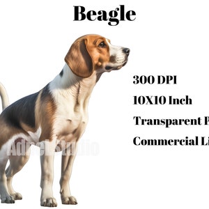 Beagle Clipart - Watercolor Beagle Png, Cute Dog Clipart, Puppies ...