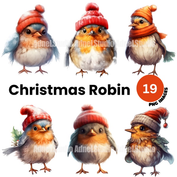 Noël Robin Clipart - Clipart de Noël, aquarelle Noël Robin PNG, Clipart de décoration de Noël, Robin Junk Journal, Scrapbooking