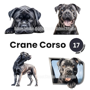 Cane corso Clipart - Aquarel cane corso png, Cute dog clipart, Puppies clipart, Dog portrait digital, Junk journal, Nursery wall art