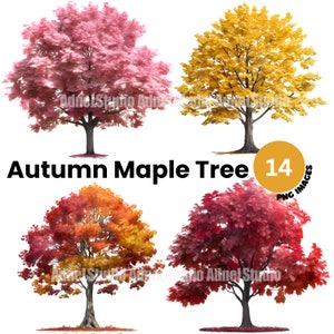 Clipart dell'albero di acero dell'acquerello - Clipart dell'albero di acero d'autunno, bellissimo paesaggio dell'albero PNG, clipart della foresta, Clipart dell'acquerello dell'albero di caduta