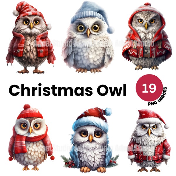 Christmas Owl Clipart - Christmas Clipart, Watercolor Christmas Owl PNG, Christmas Decoration Clipart, Owl Junk Journal, Scrapbooking