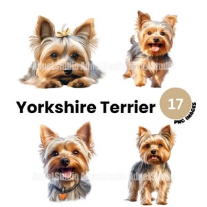 Yorkshire Terrier Clipart - Watercolor Yorkshire Terrier PNG, Watercolor Dog Clipart, Cute Puppy Clipart, Dog Portrait, Dog Junk Journal