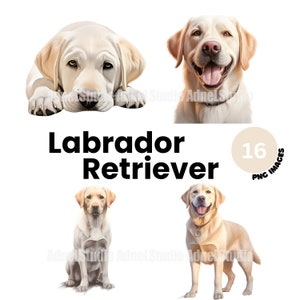 Labrador Retriever Clipart - Watercolor Labrador Retriever Png, Cute Dog Clipart, Puppy Clipart, Dog Portrait Clipart, Nursery Wall Art