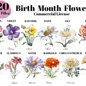 Birth Month Flowers Clipart Watercolor Botanical Birth Flower Clapart ...
