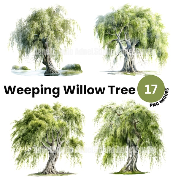 Aquarelle Willow Tree Clipart - Weeping Willow Tree Landscape Clipart, Forest Junk Journal, Tree Watercolor Clipart, Digital Paper Craft