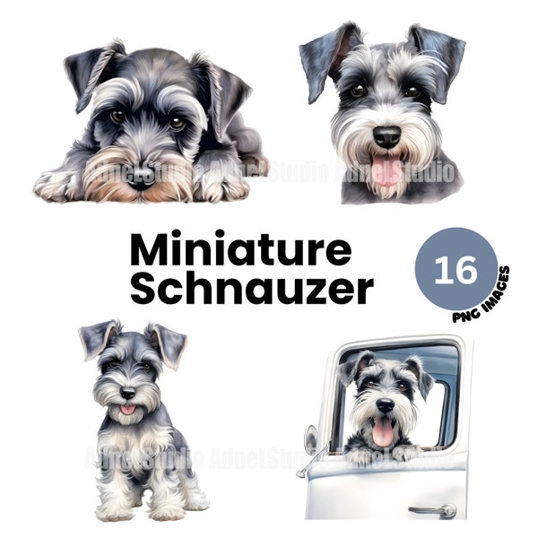 Miniature Schnauzer Clipart - Watercolor Miniature Schnauzer PNG, Cute Dog Clipart, Puppy Clipart, Dog Portrait Clipart, Nursery Wall Art