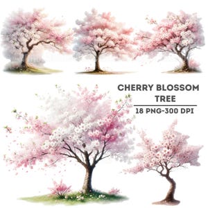 Imágenes prediseñadas de árbol de cerezo en acuarela, gráficos PNG de flores de primavera, arte de árbol de sakura japonés, álbum de recortes digital, ilustraciones de la naturaleza