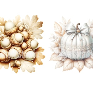 May include: Two autumnal illustrations. On the left, a cluster of acorns with brown caps and white nuts, surrounded by brown leaves. On the right, a white pumpkin with a lace trim and a white satin bow, surrounded by brown leaves.