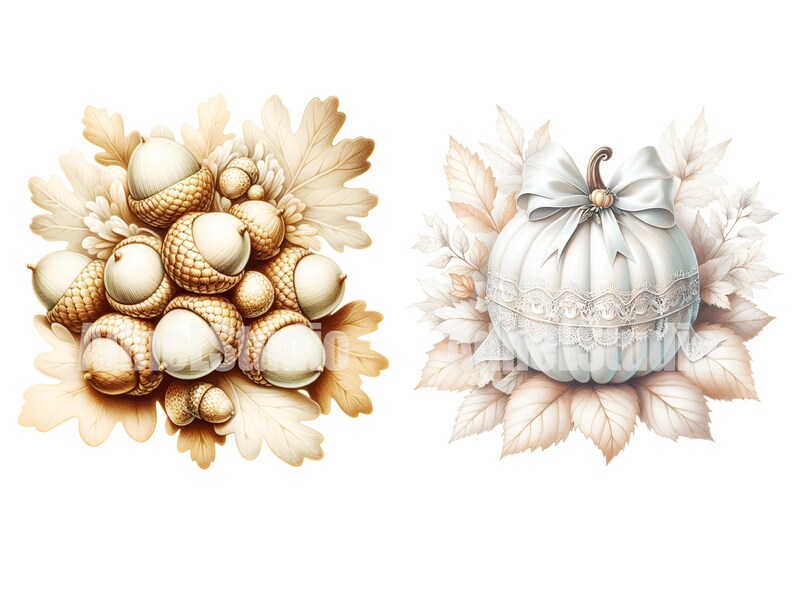 May include: Two autumnal illustrations. On the left, a cluster of acorns with brown caps and white nuts, surrounded by brown leaves. On the right, a white pumpkin with a lace trim and a white satin bow, surrounded by brown leaves.