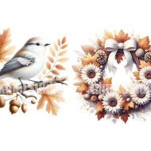 May include: A white bird with brown and gray markings perches on a branch with brown and orange leaves. A brown and white wreath with a white bow is decorated with brown pinecones and white flowers.