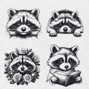 K&ouml;nnte beinhalten: Vier Schwarzwei&szlig;illustrationen von Waschb&auml;ren. Ein Waschb&auml;r schaut nach vorne, ein anderer schaut nach unten, ein dritter ist von Rosen umgeben und ein vierter liest ein Buch.