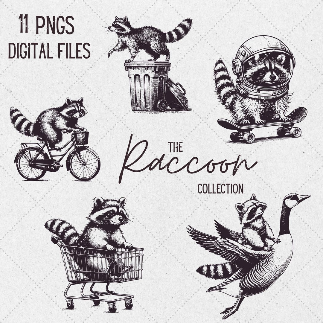 Funny Raccoon PNG Clipart Bundle, Trash Panda Designs (digital Download ...