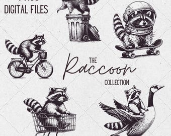 Lustiger Waschbär PNG Clipart Bundle, Trash Panda Designs (digitaler Download)