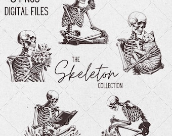 Lustiges Skelett PNG Bundle, Blumen, Kaffee, Katze (Digitaler Download)