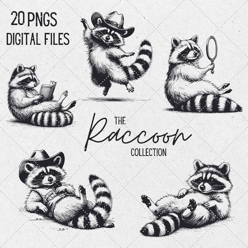 K&ouml;nnte beinhalten: Ein Set mit 20 Schwarzwei&szlig;-Digitalillustrationen von Waschb&auml;ren in verschiedenen Posen. Die Waschb&auml;ren tragen H&uuml;te, halten B&uuml;cher und schauen in einen Spiegel. Der Text "The Raccoon Collection" ist unten im Bild in Kursivschrift geschrieben.