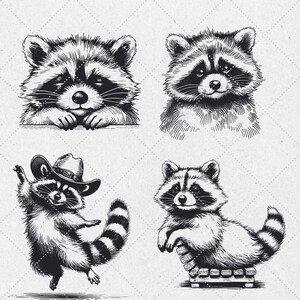 K&ouml;nnte beinhalten: Vier Schwarzwei&szlig;illustrationen von Waschb&auml;ren. Ein Waschb&auml;r tr&auml;gt einen Cowboyhut. Ein anderer Waschb&auml;r sitzt auf einer Holzbank. Die beiden anderen Waschb&auml;ren schauen den Betrachter an.