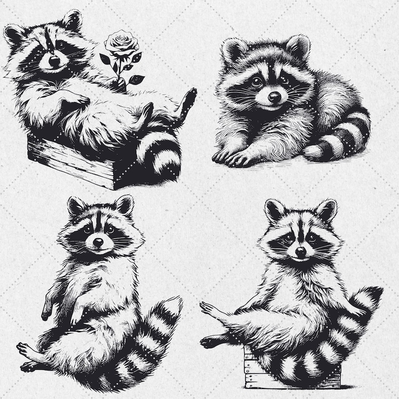 K&ouml;nnte beinhalten: Vier Schwarzwei&szlig;illustrationen von Waschb&auml;ren in verschiedenen Posen. Ein Waschb&auml;r sitzt in einer Holzkiste, ein anderer sitzt mit gekreuzten Beinen, ein weiterer liegt auf dem Bauch und der letzte sitzt aufrecht mit seinen Pfoten auf der Brust.