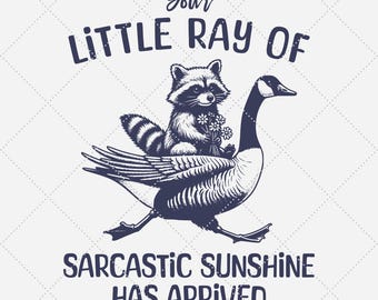 Funny Raccoon PNG, Sarcastic Sunshine Saying (Digital Download)