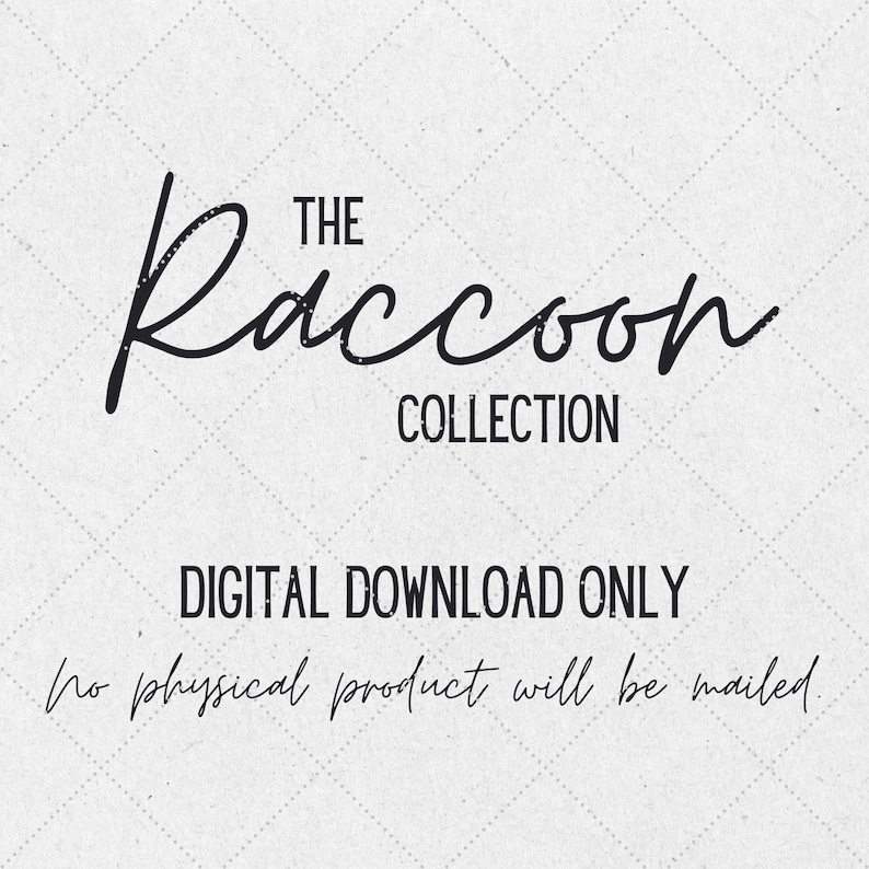 K&ouml;nnte beinhalten: Das Logo der Raccoon Collection mit dem Text "DIGITALER DOWNLOAD NUR" und "kein physisches Produkt wird versandt" darunter.