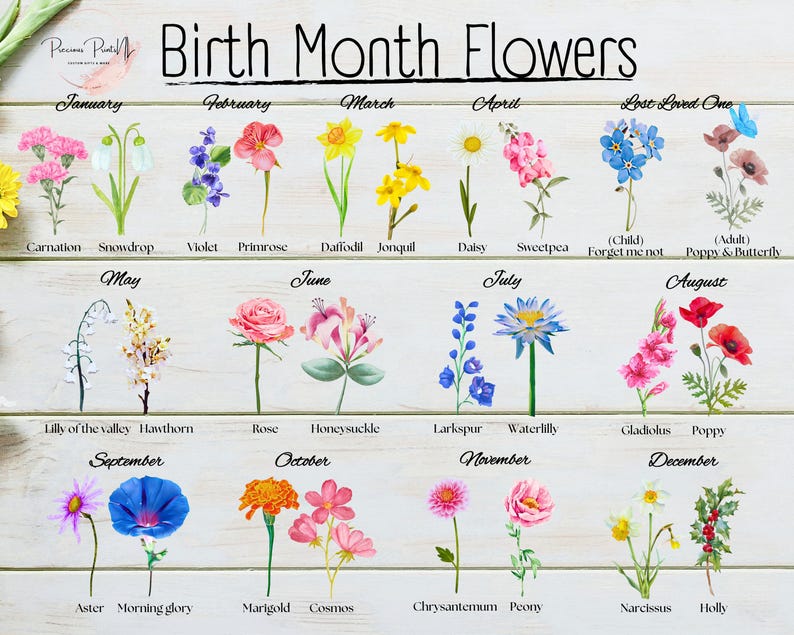 A chart titled 24 Birth Flowers featuring illustrations of flowers associated with each month. Includes two flowers per month plus one for a Lost Loved One. Each flower is labeled with its name.